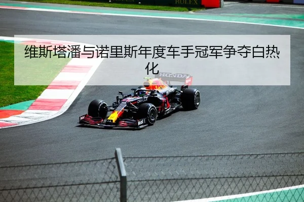 wei-si-ta-pan-yu-nuo-li-si-nian-du-che-shou-guan-jun-zheng-duo-bai-re-hua-2-220.jpg
