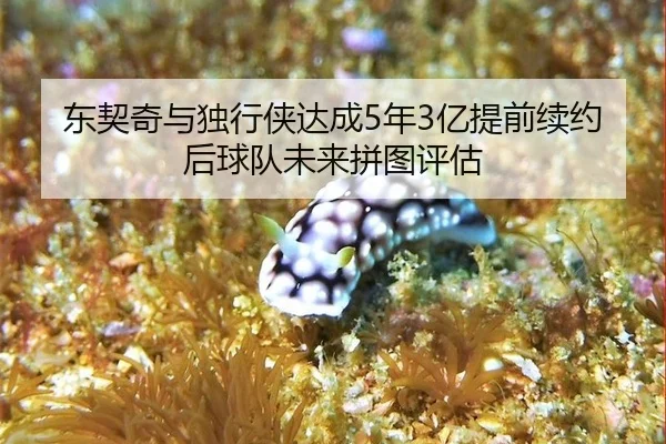 dong-qi-qi-yu-du-xing-xia-da-cheng-nian-yi-ti-qian-xu-yue-hou-qiu-dui-wei-lai-pin-tu-ping-gu-1-638.jpg