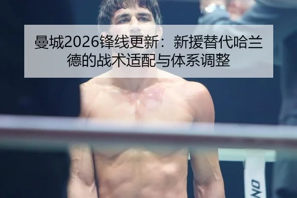 man-cheng-feng-xian-geng-xin-xin-yuan-ti-dai-ha-lan-de-de-zhan-shu-shi-pei-yu-ti-xi-tiao-zheng-2-662.jpg