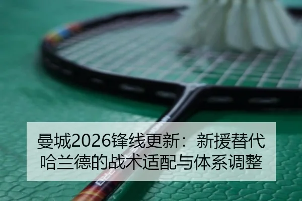man-cheng-feng-xian-geng-xin-xin-yuan-ti-dai-ha-lan-de-de-zhan-shu-shi-pei-yu-ti-xi-tiao-zheng-1-324.jpg